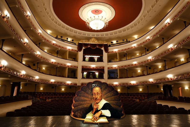 Схема зала театра имени Ермоловой